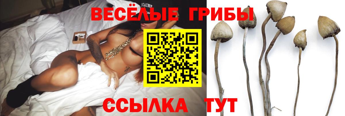 Гусь-Хрустальный  Псилоцибиновые грибы Magic Shrooms  Галлюциногенные грибы ЛСД  купить наркоту  Вход с VPN 